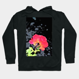 Rose 255 Hoodie